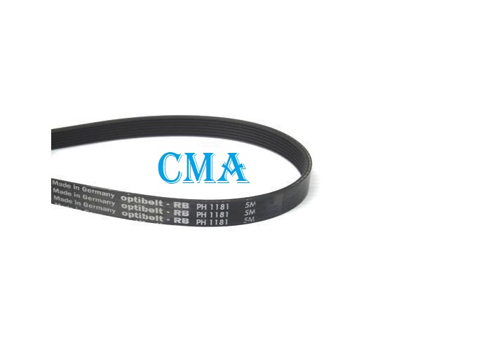 Ремень 1181 H8 PH OPTIBELT ARISTON C00066521